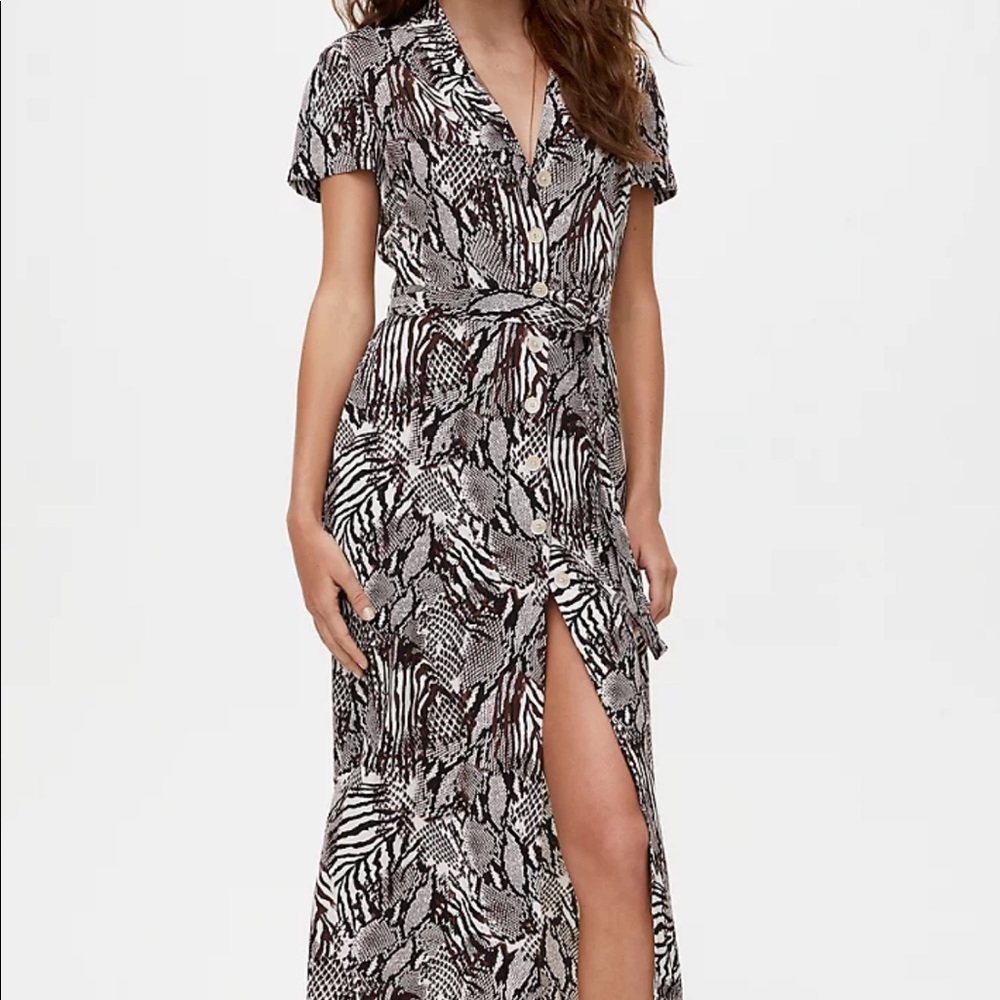 Aritzia Shirt Dress